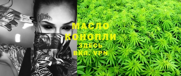 ECSTASY Богданович